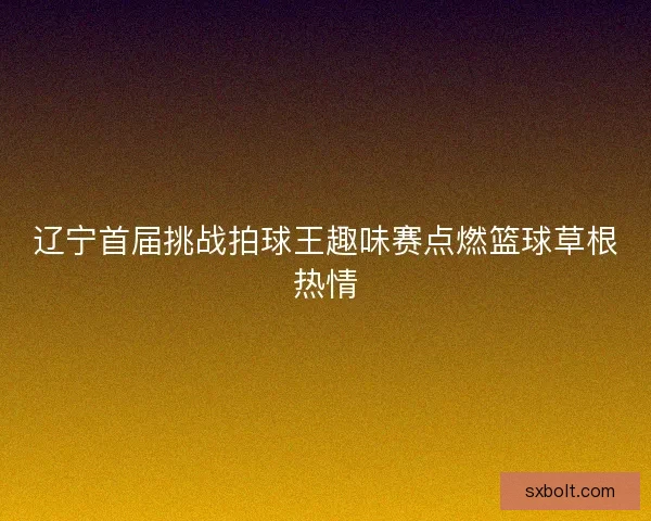 辽宁首届挑战拍球王趣味赛点燃篮球草根热情