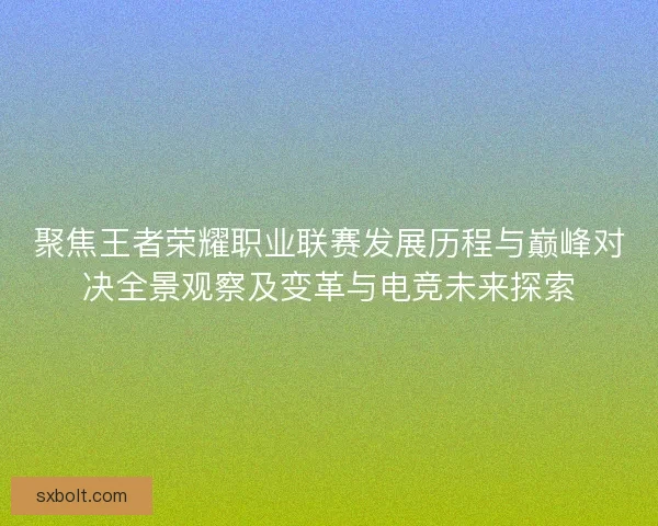 聚焦王者荣耀职业联赛发展历程与巅峰对决全景观察及变革与电竞未来探索