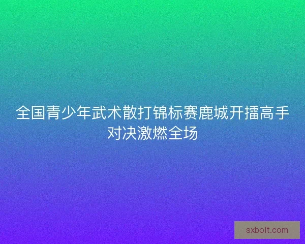 全国青少年武术散打锦标赛鹿城开擂高手对决激燃全场